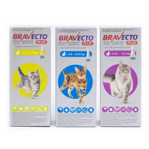 Bravecto Plus Tick, Flea, Mite & Worm Spot On