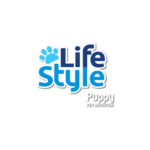 Lifestyle Puppy