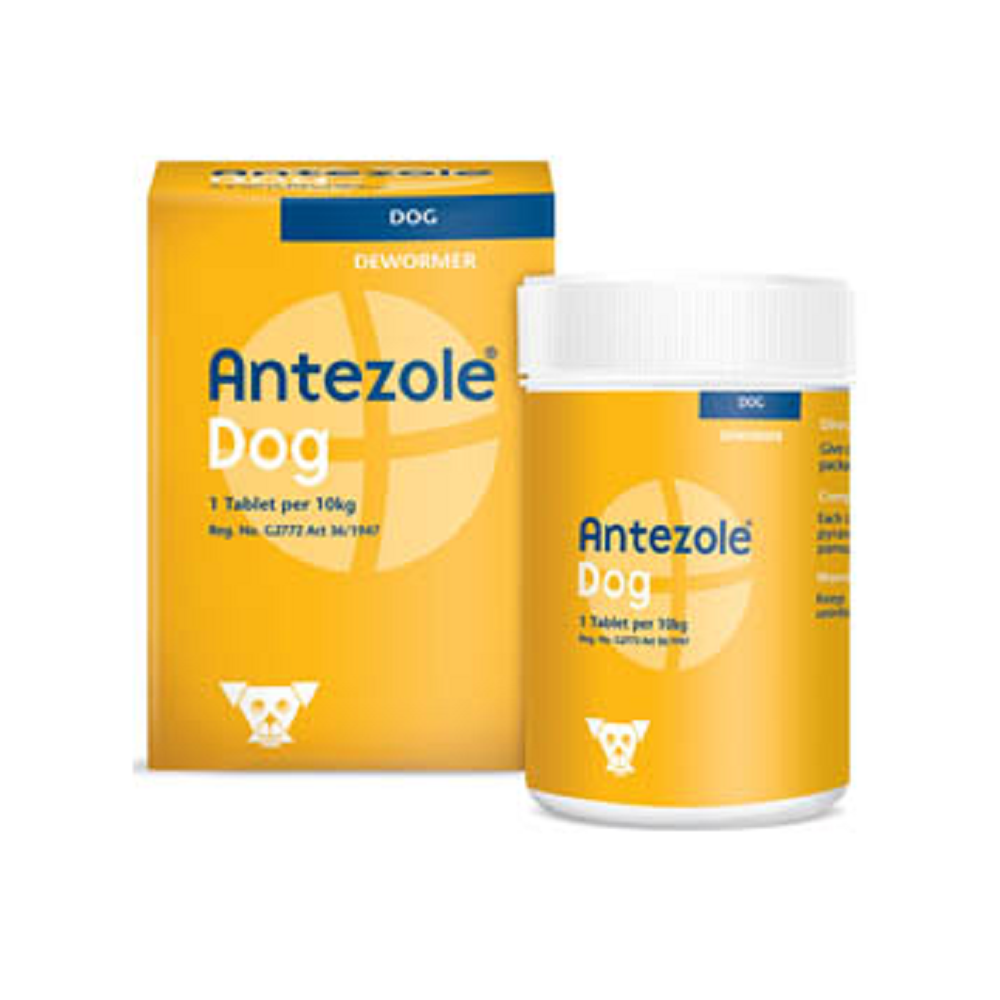 Antezole Deworming Tablets - Dog - Dogs Cats & Friends