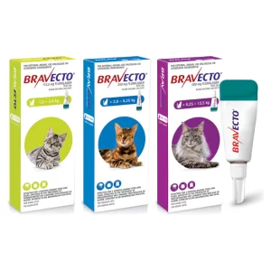 Bravecto Tick & Flea Spot On for Cats
