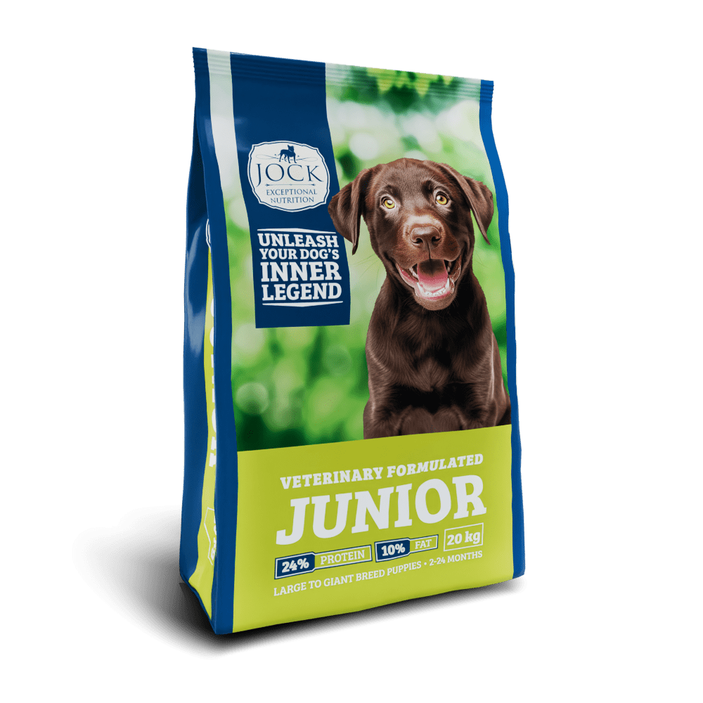 Jock Junior