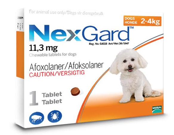 NexGard Small Dog 2-4kg Chewable Tick & Flea Tablet - Dogs Cats & Friends